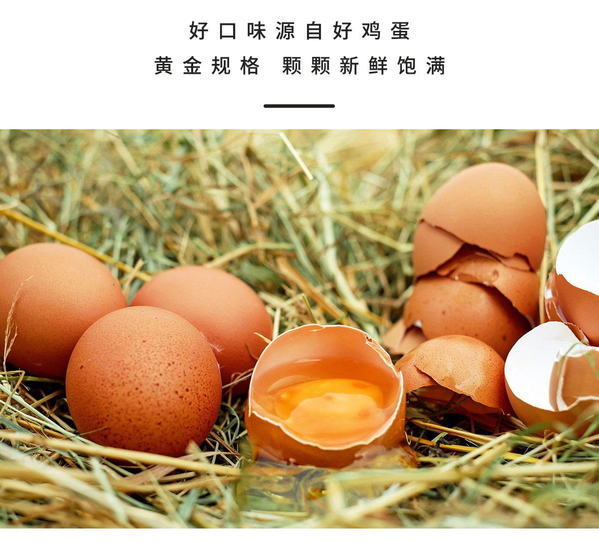 燒子（鹵蛋）_03.jpg