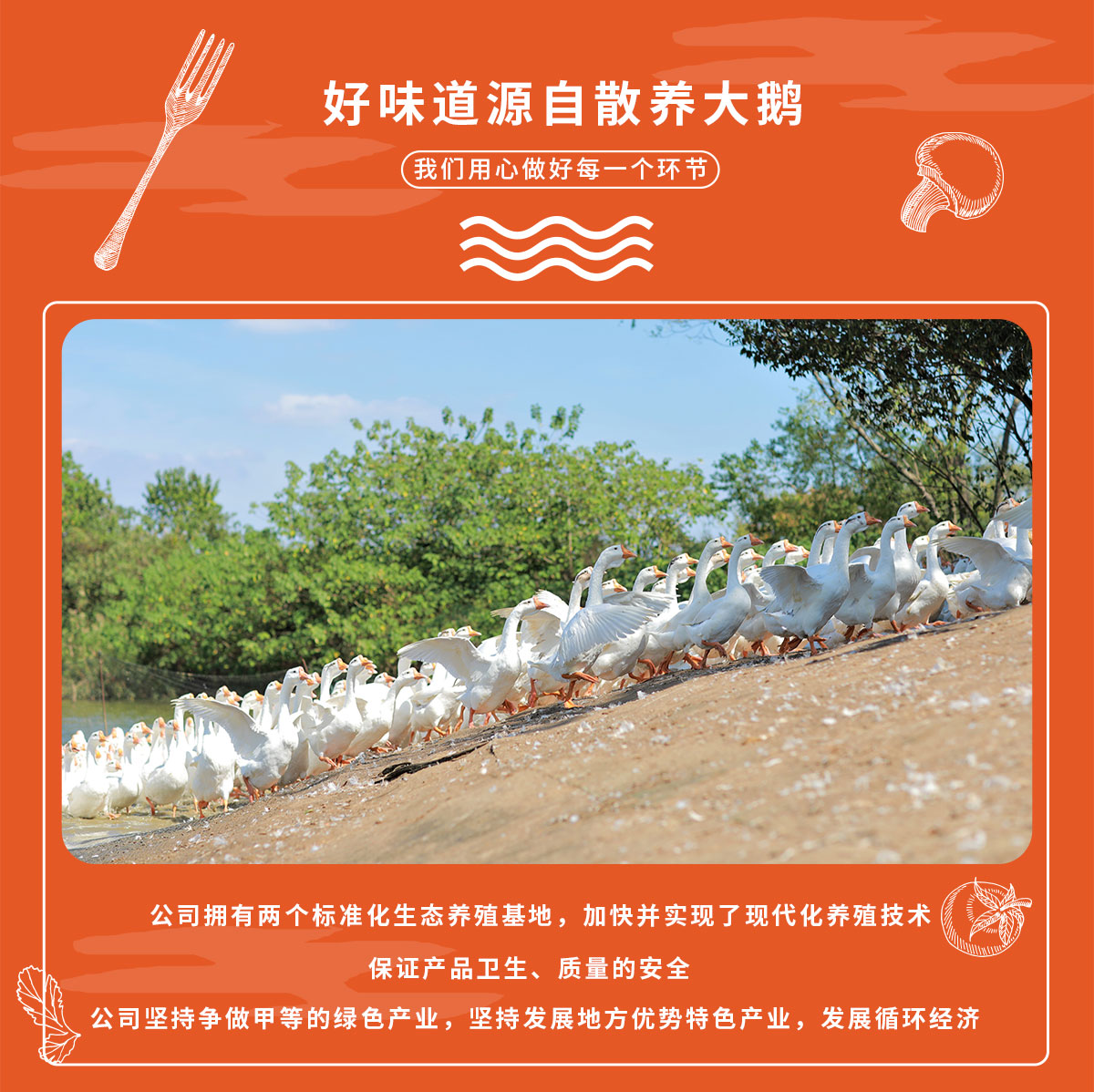 詳情2半只裝_02.jpg