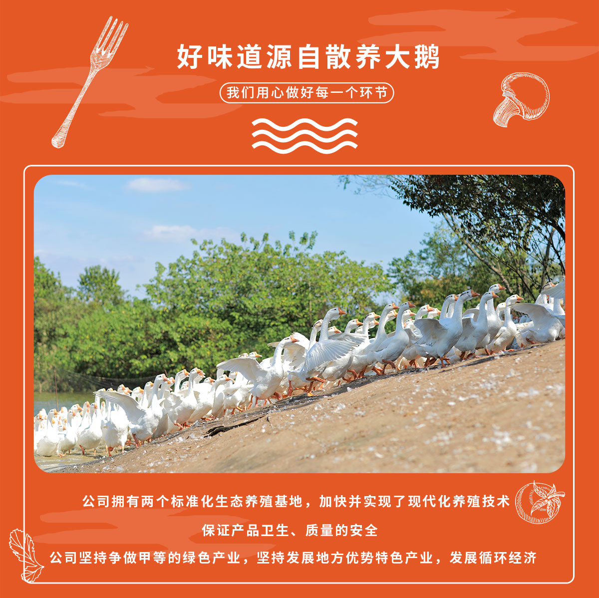 詳情2鵝大禮包_02.jpg